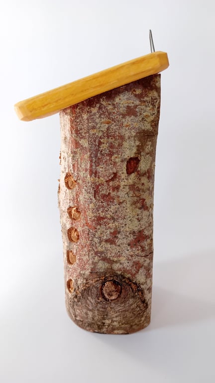 Hand Made Bug Home - Garden Gift