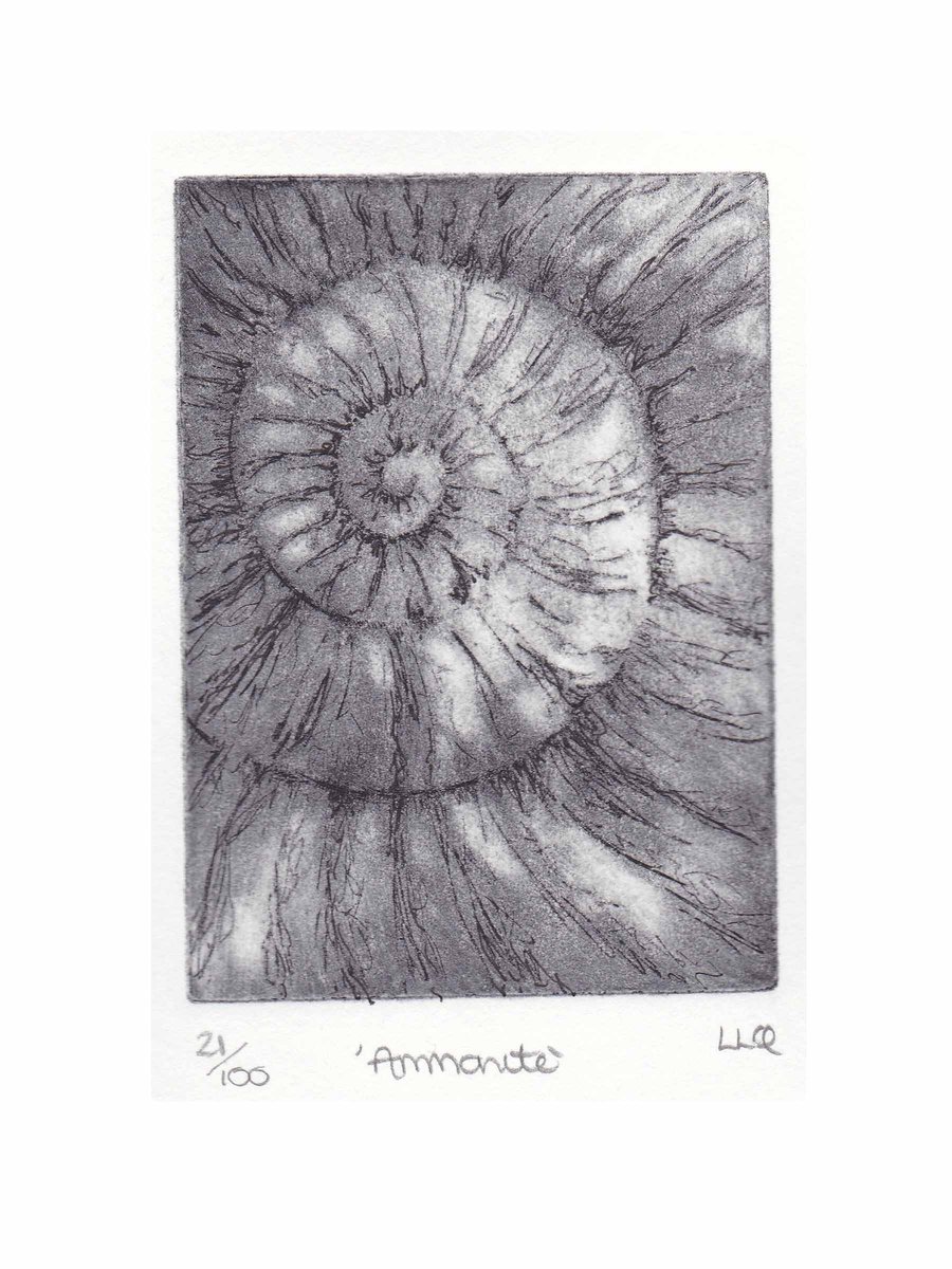 Etching no.21 of an ammonite fossil in an edition of 100