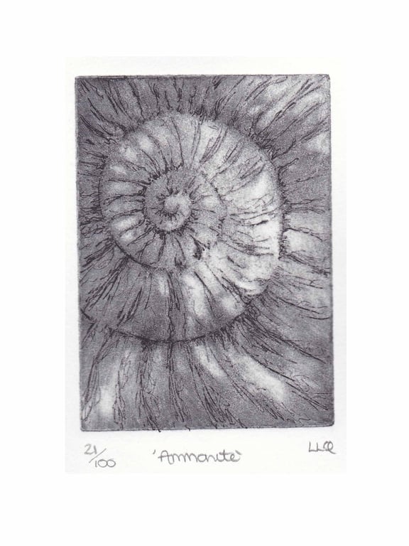 Etching no.21 of an ammonite fossil in an edition of 100