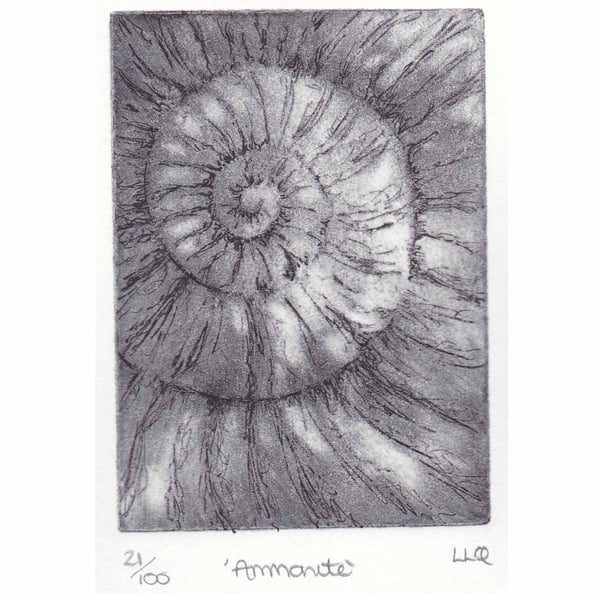 Etching no.21 of an ammonite fossil in an edition of 100