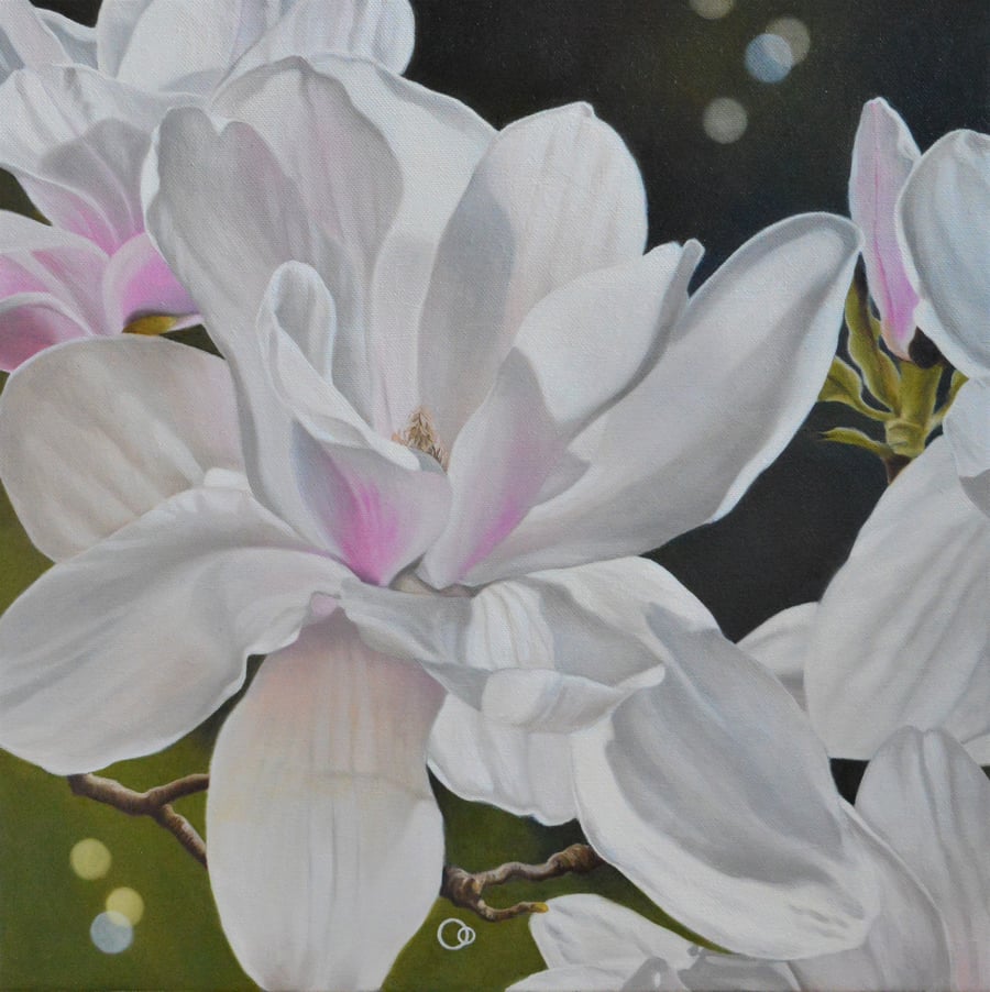 Magnolia 2 Floral Oil Painting