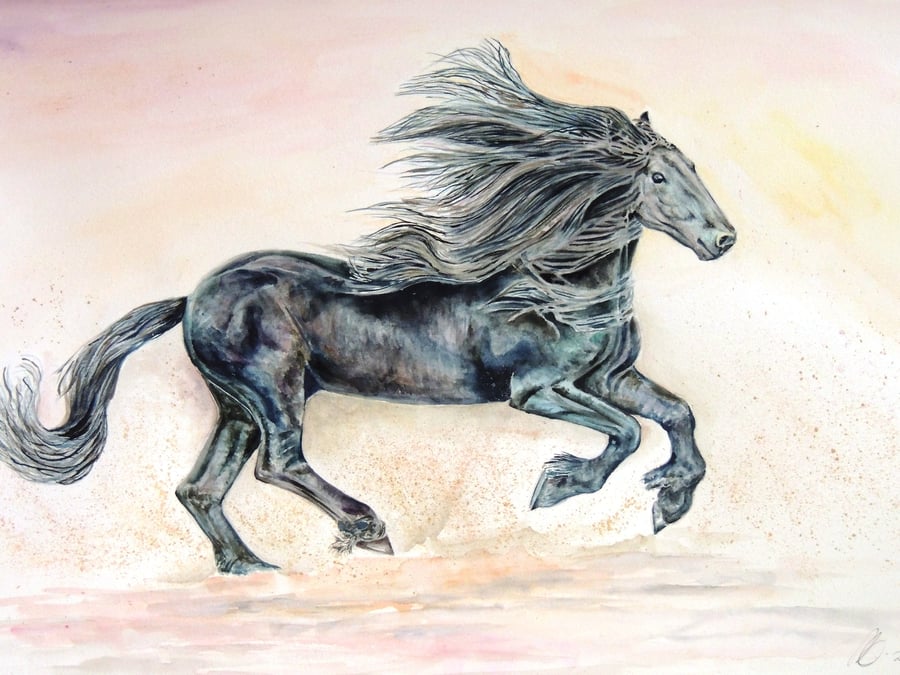  Black Horse  Original Watercolour Painting