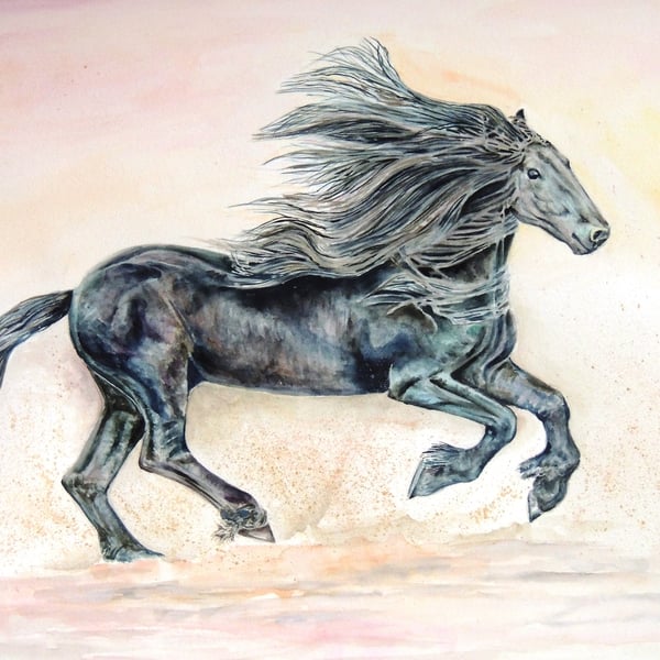  Black Horse  Original Watercolour Painting