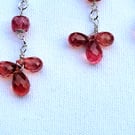 Sapphire and Silver Earrings. Padparadscha Sapphire and Sterling silver. 