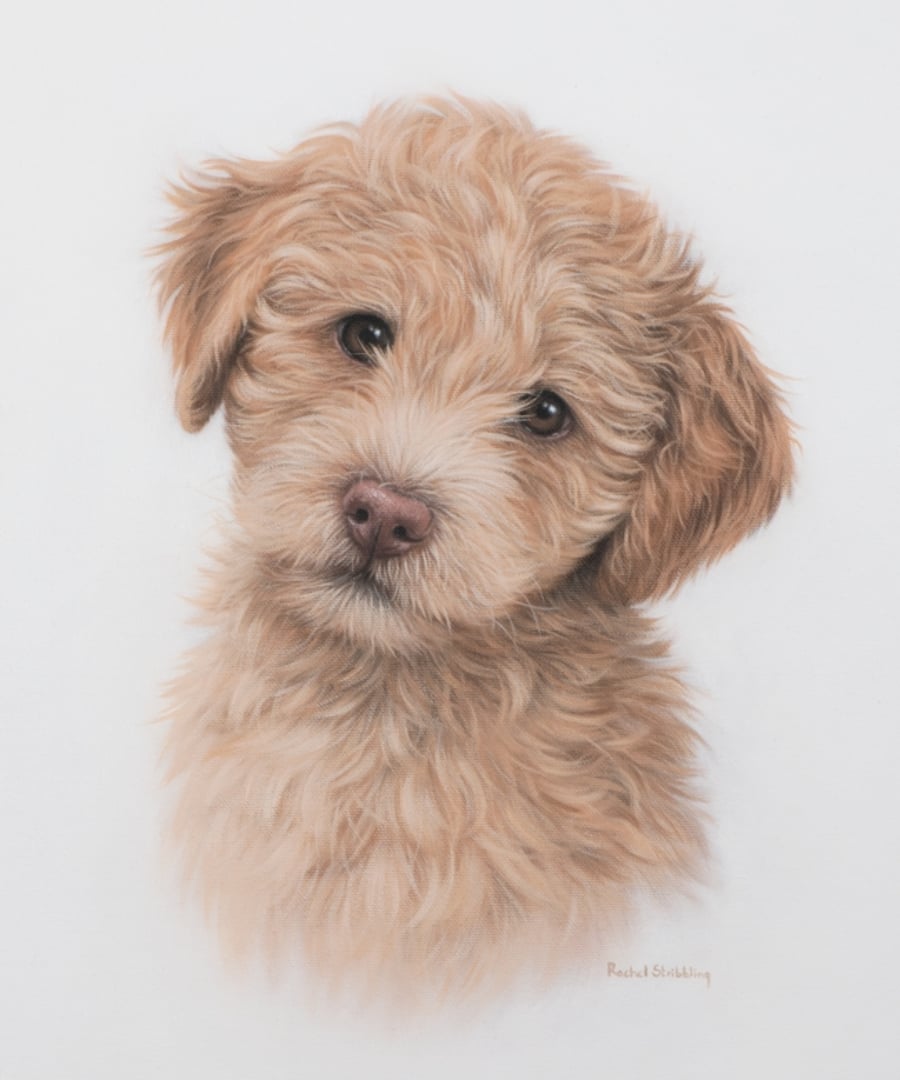 Cockapoo Puppy oil painting on canvas