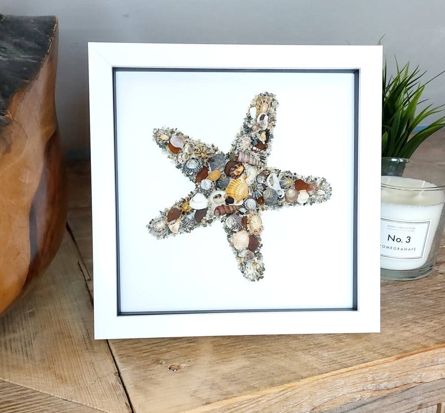 Cornish mixed shells & seaglass starfish framed wall art