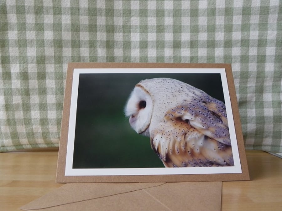Barn Owl Photo Greetings Card