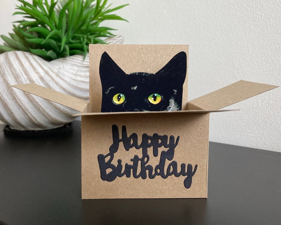Black Cat Birthday Card - Cat in a box card. Happy Birthday 3D gift card holder.