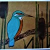 Kingfisher Card