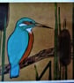 Kingfisher Card - Image 1