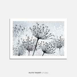 Seedheads Illustrated Art Print