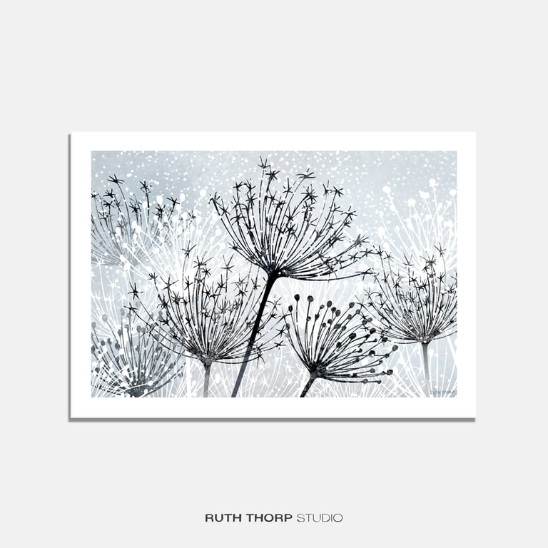 Seedheads Illustrated Art Print