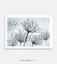 Seedheads Illustrated Art Print - Image 1