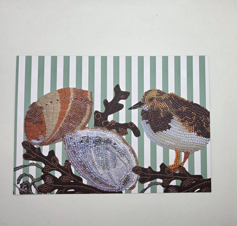 Turnstone coastal bird A5 print