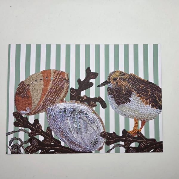 Turnstone coastal bird A5 print