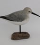 Dunlin on driftwood - Image 1