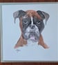 Doggo Collection  - Image 2
