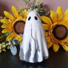 Grey "Tamriel Skies" Spook 