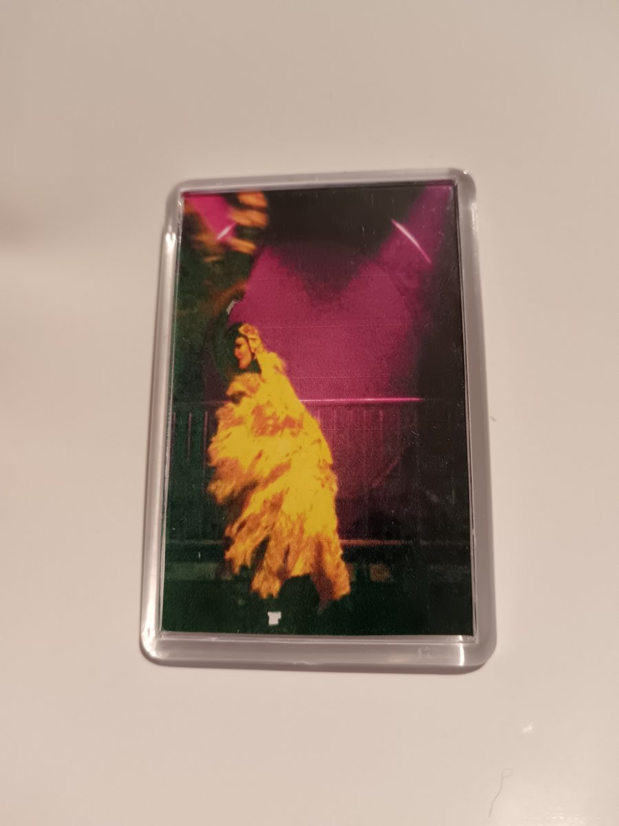 Feather Dancer at Emilie Autumn Gig Bristol Photography Fridge Magnet 