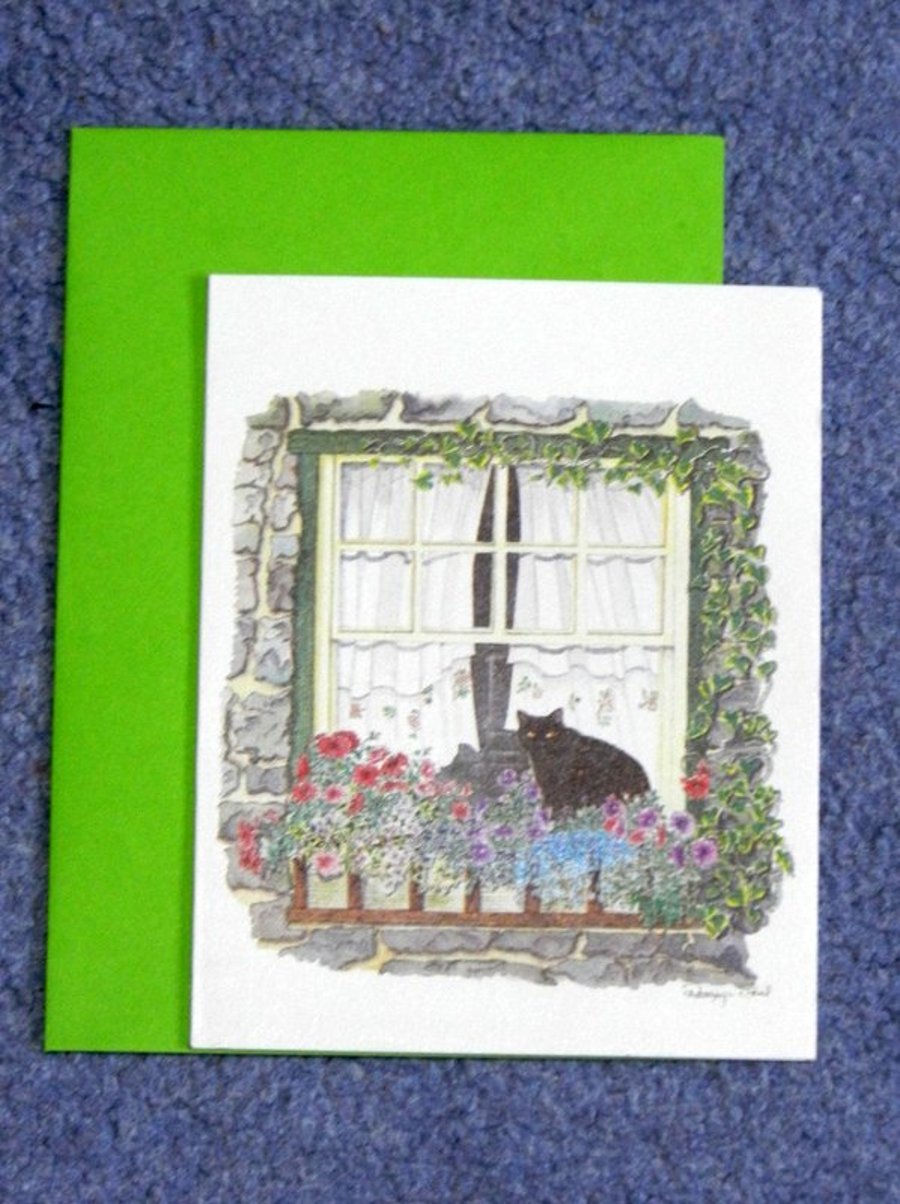 "The Window Box"