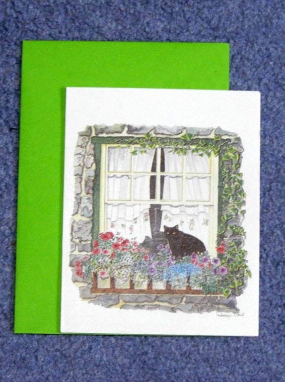 "The Window Box"