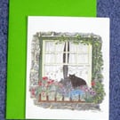 "The Window Box"