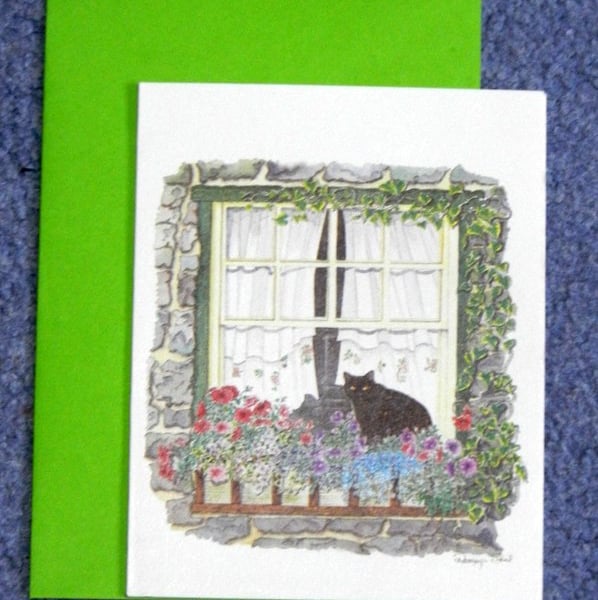 "The Window Box"