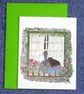 "The Window Box"