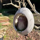 Felt bunny 