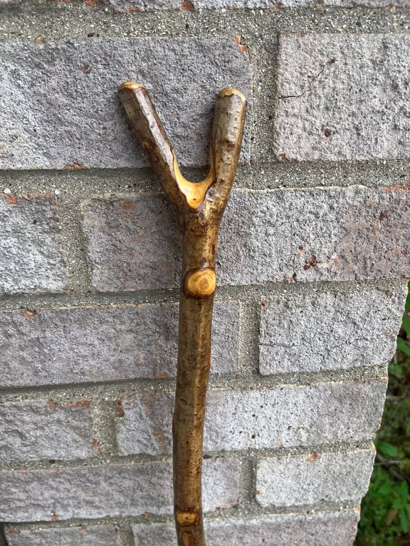 Handmade Thumb Stick - Hazel Driving & Herding Stick Lightweight & Strong Cattle