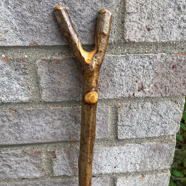 Handmade Thumb Stick - Hazel Driving & Herding Stick Lightweight & Strong Cattle