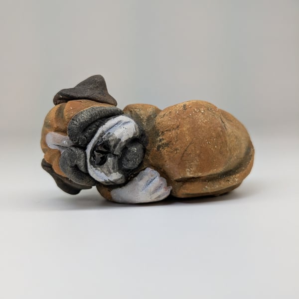 Mini Curled Boxer - red