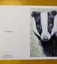 “Brock” European Badger greetings card or mini print to frame  - Image 3