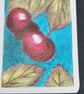ACEO card "Cherry Ripe" - Image 3