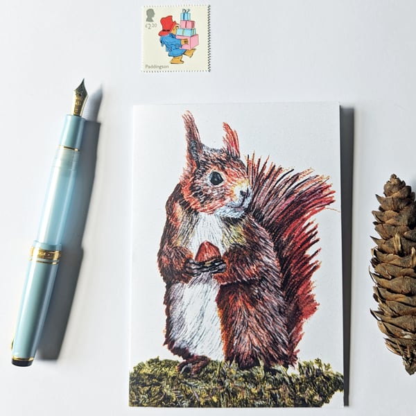 Red Squirrel Blank Greetings Card A6 - Free Postage