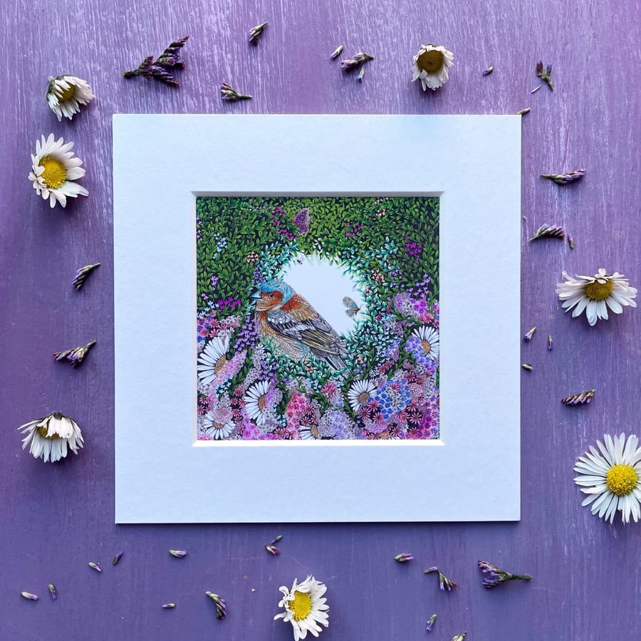 LIMITED EDITION 'Chaffinch' 5" x 5" Mounted Print