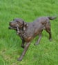 Labrador Playing with Toy Dog Statue Large Bronze Resin Garden Sculpture - Image 2