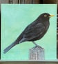 Blackbird Card, Claire Kirkpatrick 