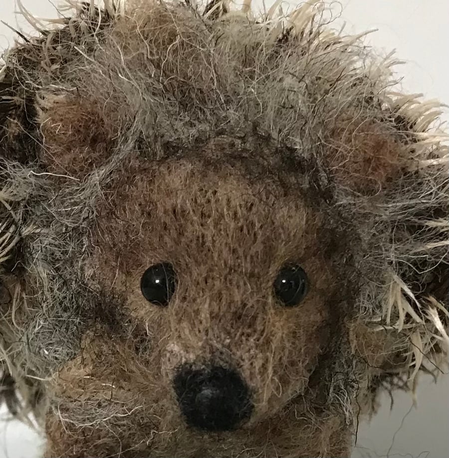 Needle felted Hedgehog