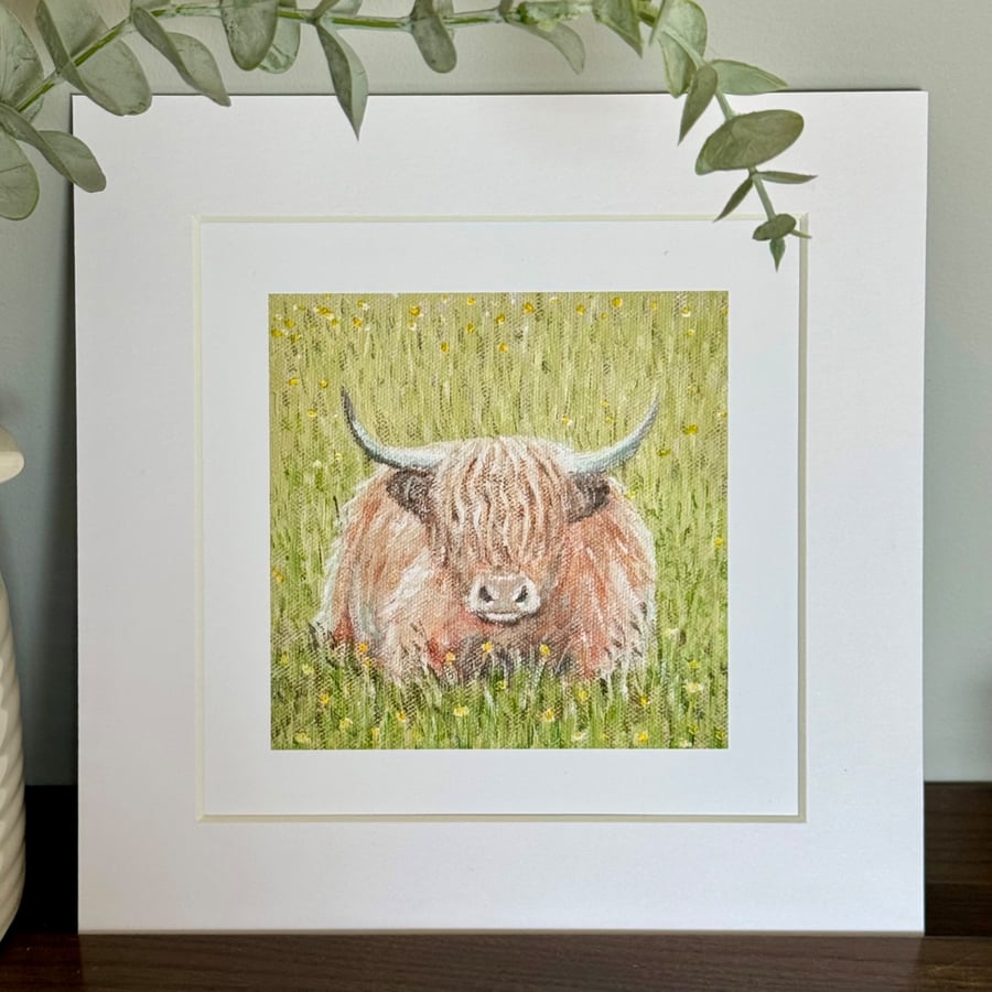 Highland Cow Mounted Print