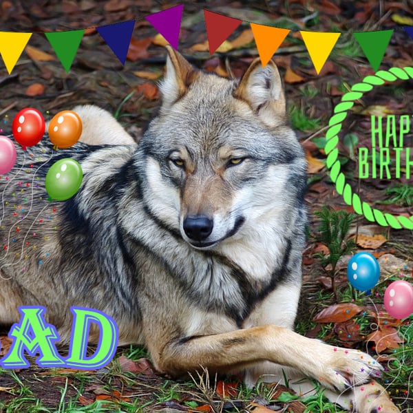 Happy Birthday Dad Wolf Card A5