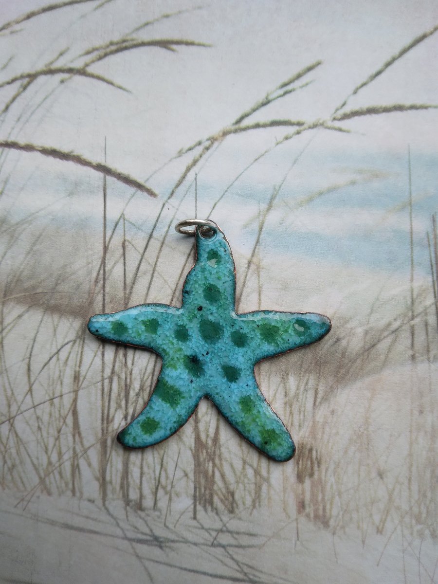 Starfish pendant in enamelled copper 256