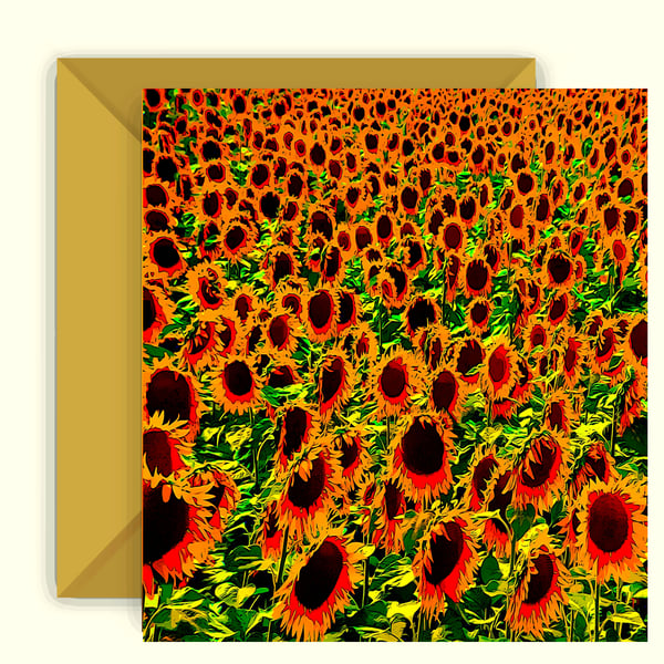 Colourful Sunflowers in a Field Greeting Card 