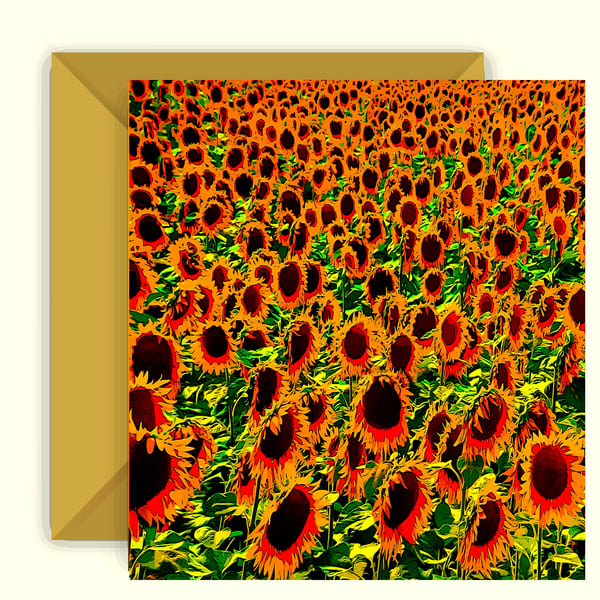 Colourful Sunflowers in a Field Greeting Card 