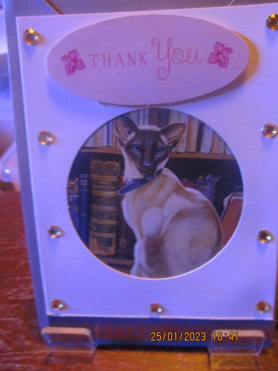 Thank You Cat Card