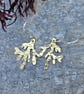 Brass seaweed earrings - Image 2