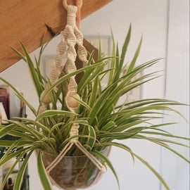Seconds Sunday macramé plant holder hanging basket with wooden beads
