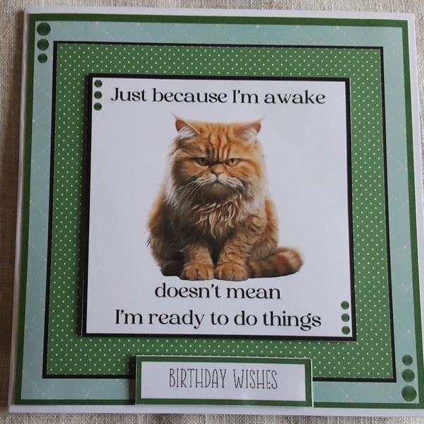 Cat Birthday Card Delightful Grumpy Ginger Cat Design for Cat Lovers