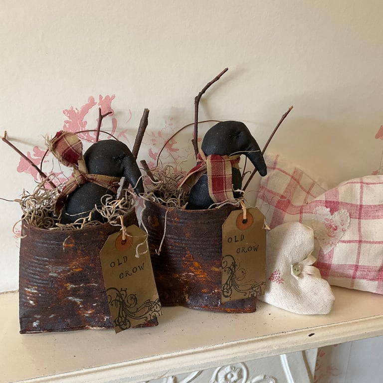 Primitive old crow in a rusty tin can - Special Price