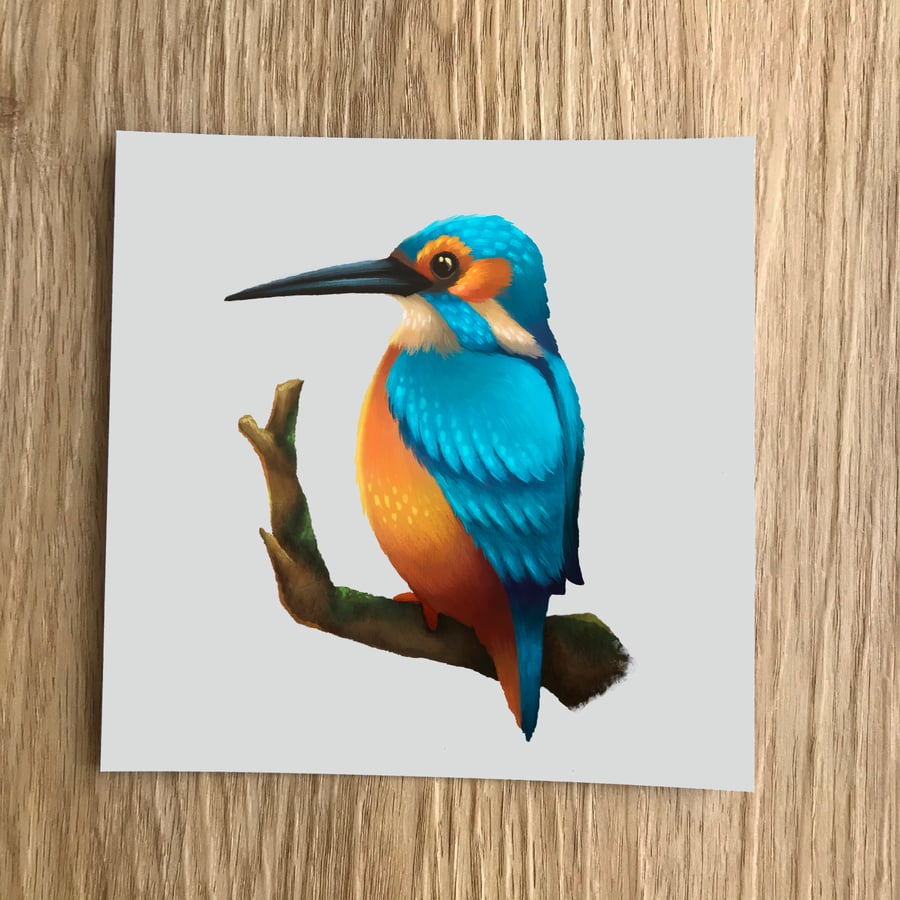 Kingfisher Square Post Card Print